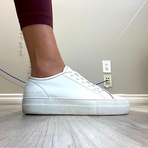 Common projects tournament low- size 36
